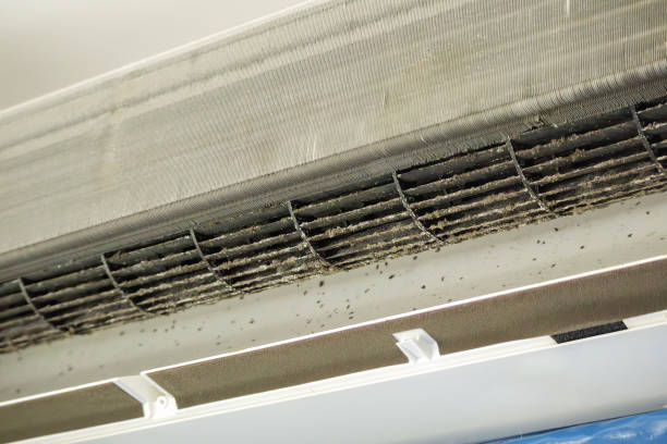 Best Best Air Duct Cleaning Company  in New Smyrna Beach, FL